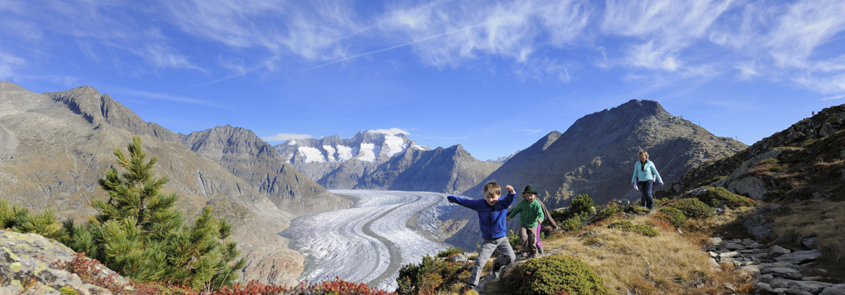 Aletschgletscher Sommer