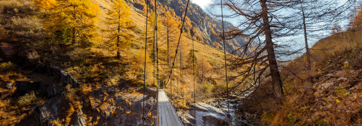 Wandern Hängebrücke Aletschji