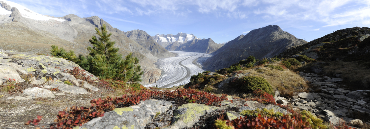 Alpenpanorama Aletschgletscher