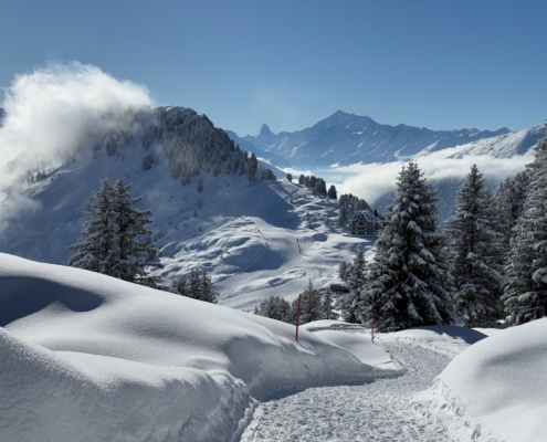 Winterwanderweg-Moosfluh-Riederfurka