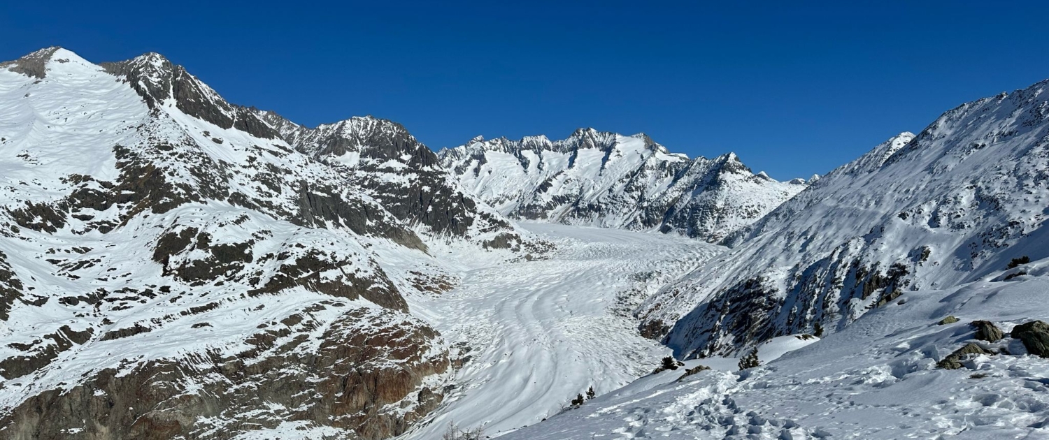 Aletschgletscher_Viewpoint_Moosfluh