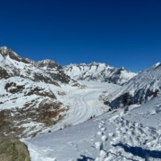 Aletschgletscher_Viewpoint_Moosfluh