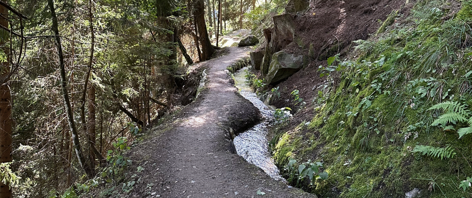 Höhenweg Moosfluh - Riederfurka