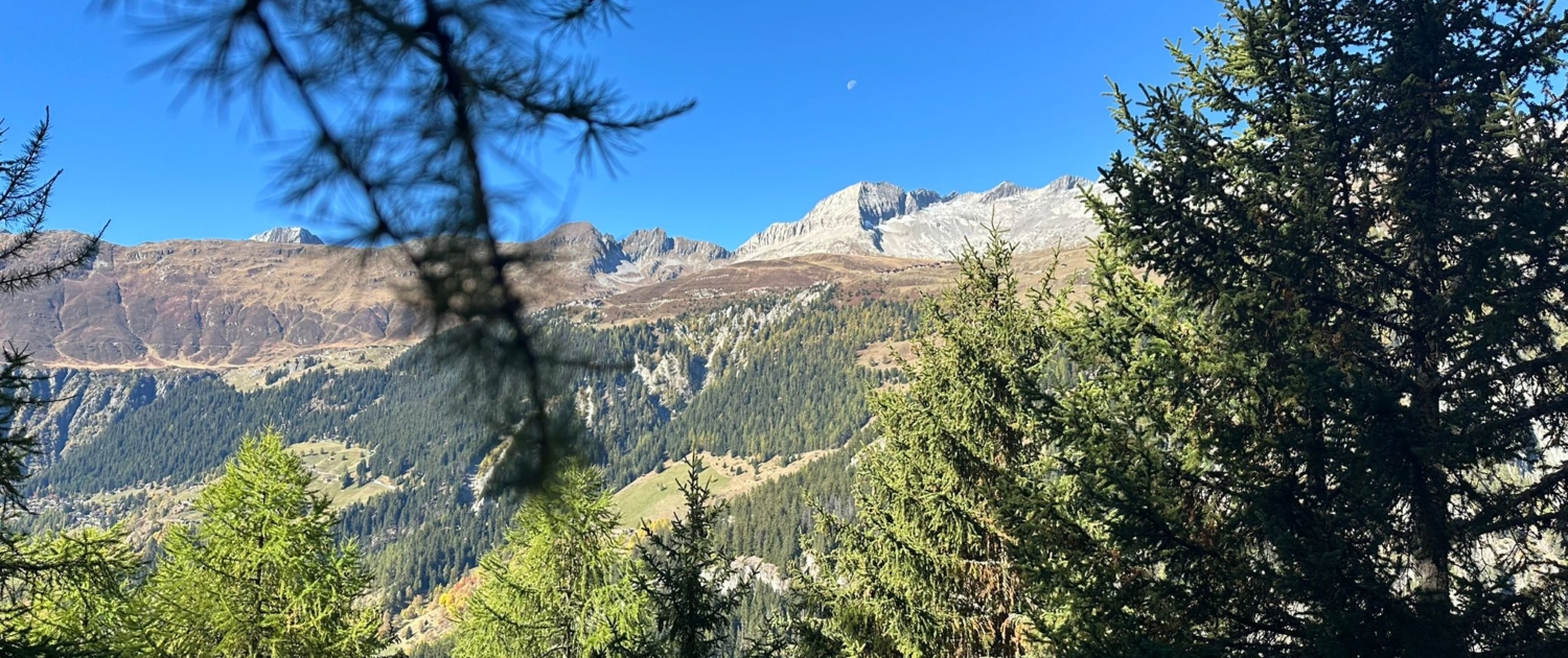 Wanderung_Knebelbrücke_Riederalp