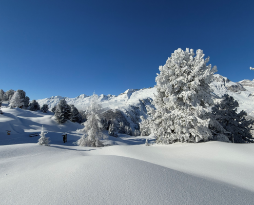 Riederalp im Winter