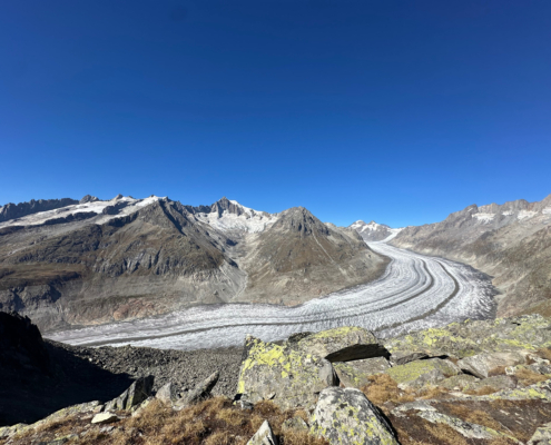 Aletschgletscher im Herbst mit Sicht bis zum Konkordiaplatz