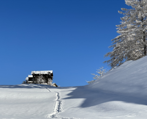 Winterferien Aletschregion