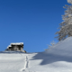Winterferien Aletschregion